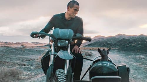 Black Dog - Weggefährten Bild 1