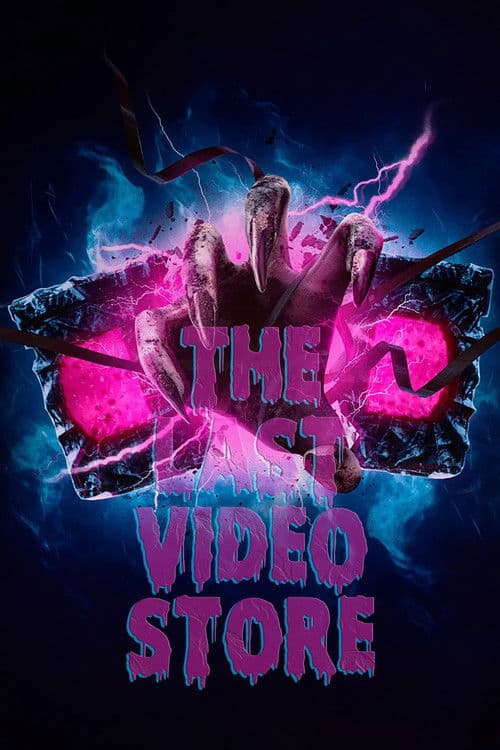 The Last Video Store