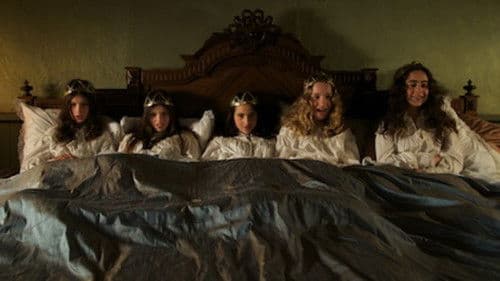 Im finsteren Walde Bild 1