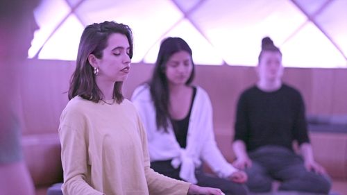 Explained: Unser Kopf Bild 2