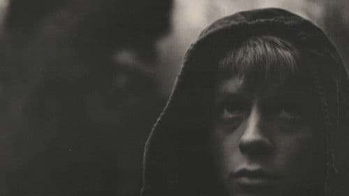 Через кладбище Bild 1