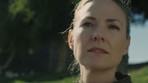 Metropolitan Crush Bild 5