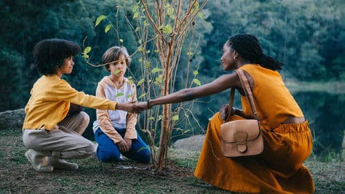 É Tempo de Amoras Bild 4