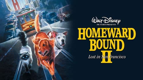 Ein tierisches Trio - Wieder unterwegs Bild 2