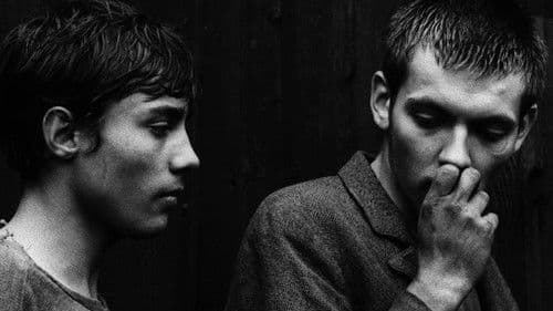 Démanty noci Bild 3