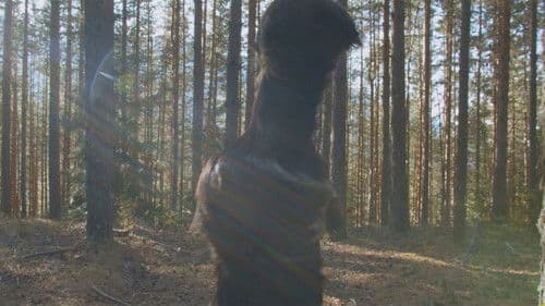 Под кожите Bild 4