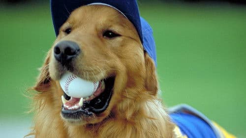 Air Bud 4 - Mit Baseball bellt sich's besser Bild 5