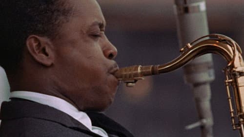 Jazz an einem Sommerabend Bild 3