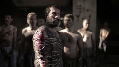 شماره 10 Bild 1