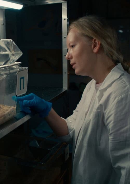 Условные рефлексы