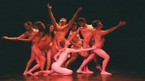 La lección de anatomía Bild 1