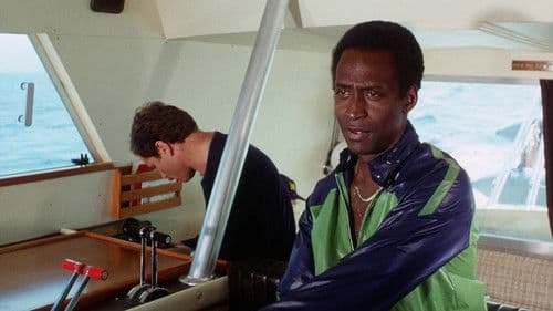 Kennwort: Salamander Bild 7