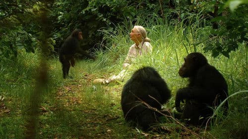 Jane's Journey - Die Lebensreise der Jane Goodall Bild 1