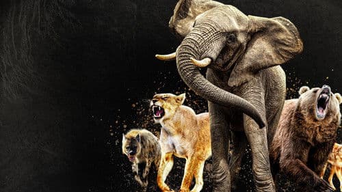 Queens – Königinnen des Tierreichs Bild 2