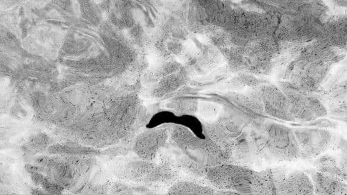 The Mustache Mob Bild 5