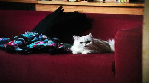 Mord in der Toskana Bild 1