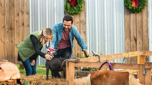 Hometown Christmas Bild 2