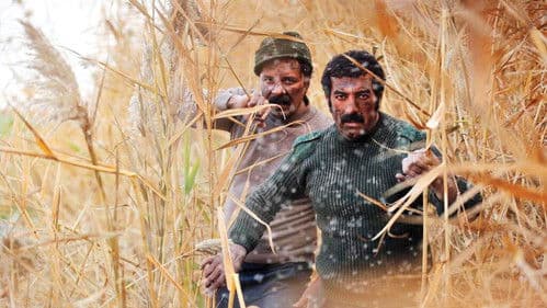 شماره 10 Bild 2