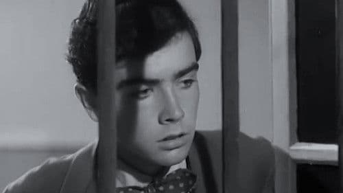 Il cocco di mamma Bild 1