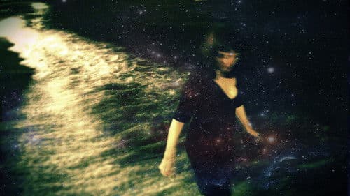 WhimSeaCall - Nocturnal Sea Bild 1