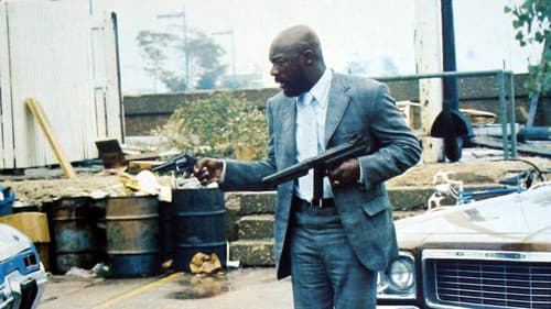 Zwei Fäuste des Himmels Bild 1