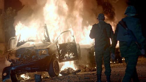 შინდისი Bild 4