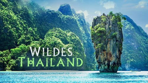 Wildes Thailand Bild 4