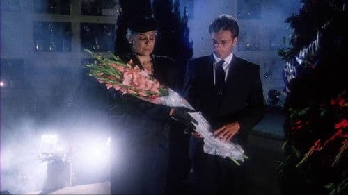 Stimmen aus dem Jenseits Bild 8