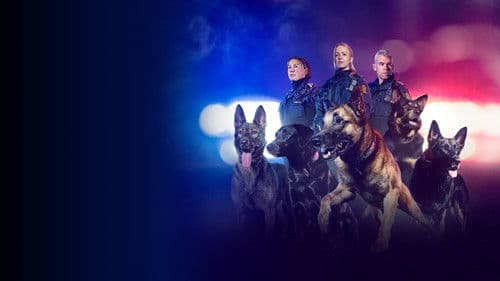 Politihundene Bild 1