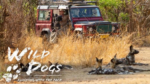 Wild Dogs: Running with the Pack Bild 3