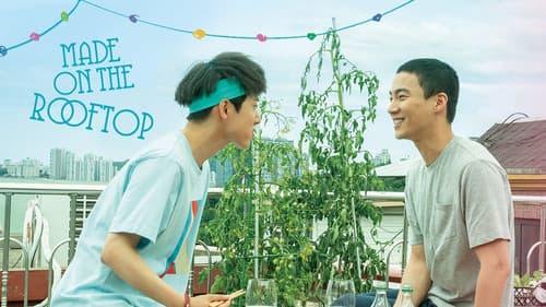 메이드 인 루프탑 Bild 4