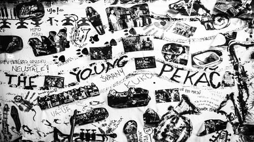 Příběhy českého jazzu Bild 1