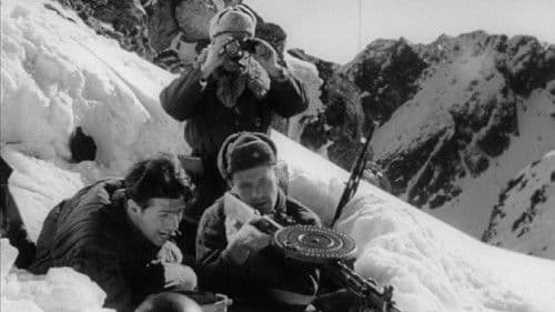 Błękitny krzyż Bild 2