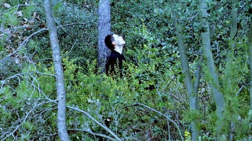 Im Glaskäfig Bild 6