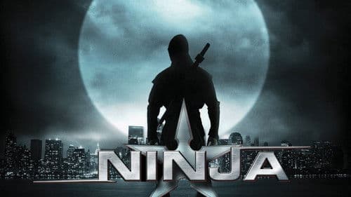 Ninja - Revenge will rise Bild 8
