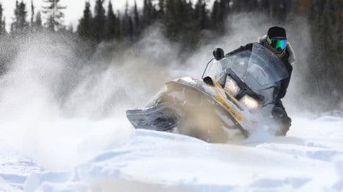 Alaska – Eisige Freiheit Bild 7