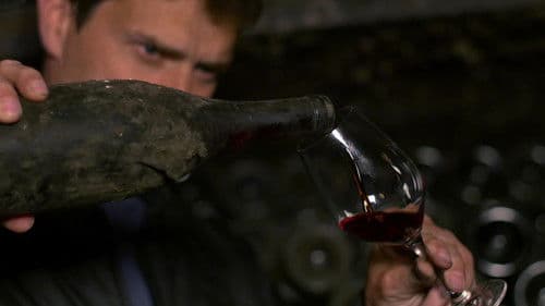 Somm: Into the Bottle Bild 2