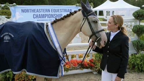 Taking the Reins Bild 3