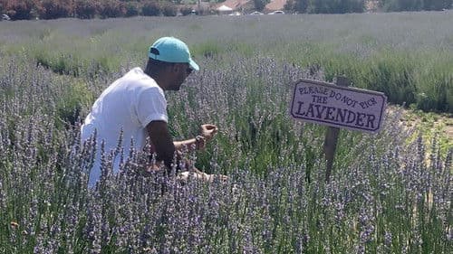 The Forfeiture Clause Bild 1