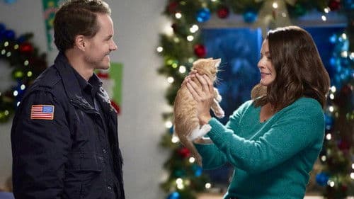 Neun Kätzchen zu Weihnachten - Eine samtige Bescherung 2 Bild 2