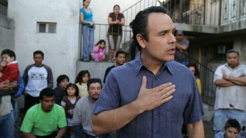 Los Traficantes Bild 1