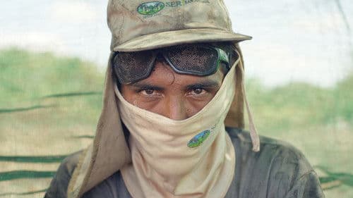 Hitzefrei? Klima wandelt Arbeit Bild 1