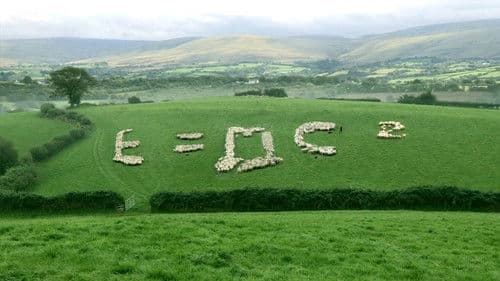 Super Smart Animals Bild 4