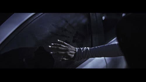 The Black Dog Bild 1