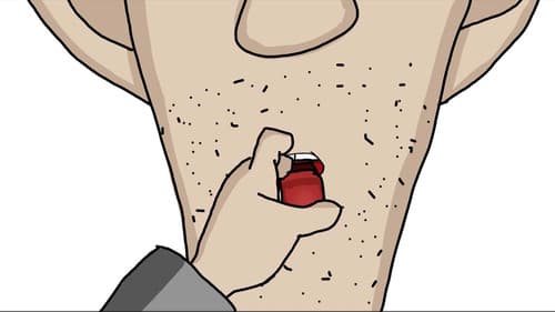 نداهة السايس Bild 2