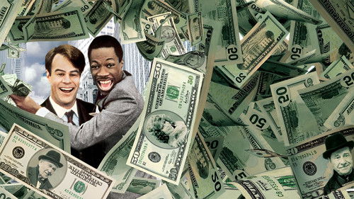 Die Glücksritter Bild 8