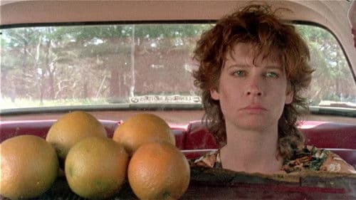 Orangenschalen Bild 1