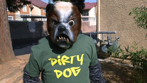 Cool Cat Fights Coronavirus Bild 1