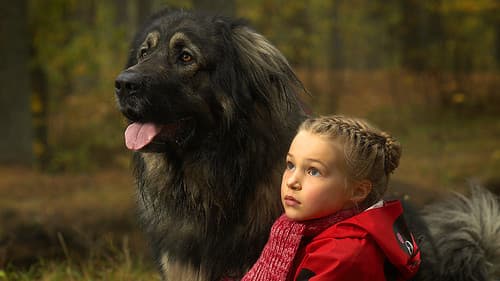 Kleine Hände, große Pfoten Bild 3