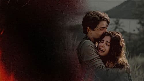 Dias Perfeitos Bild 6